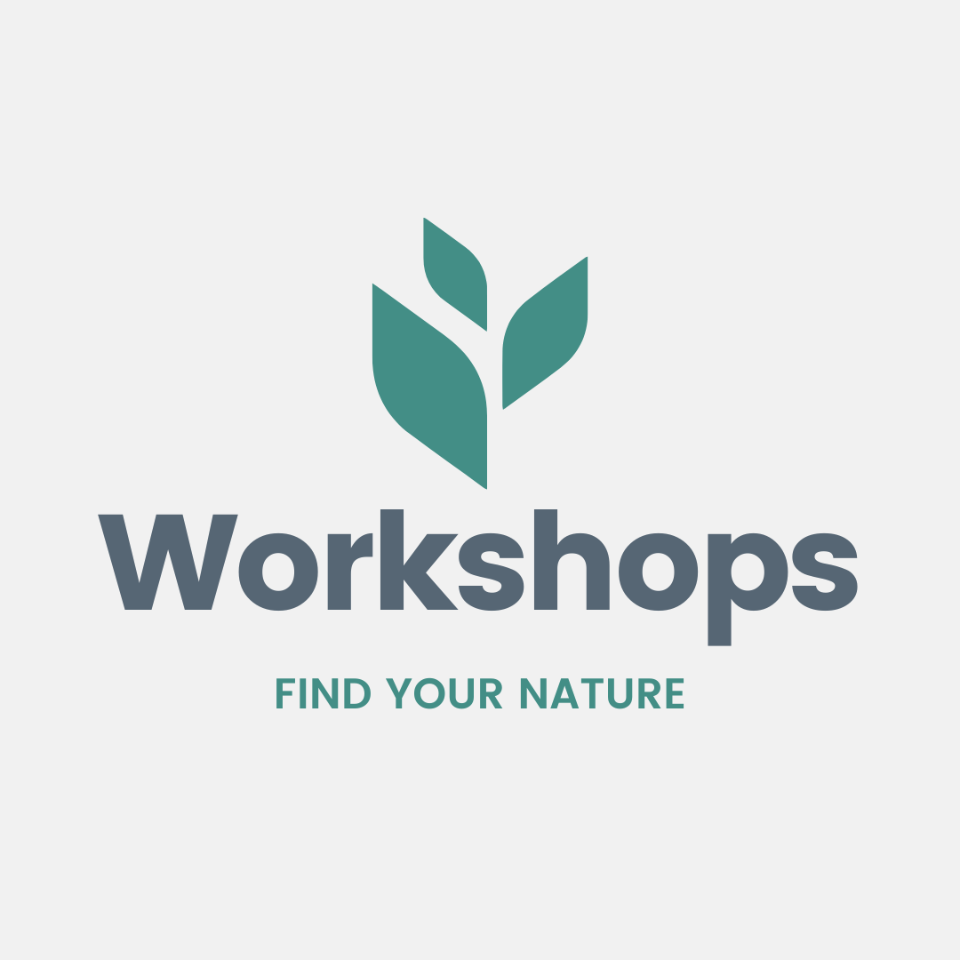 Master-Classes & Kurse